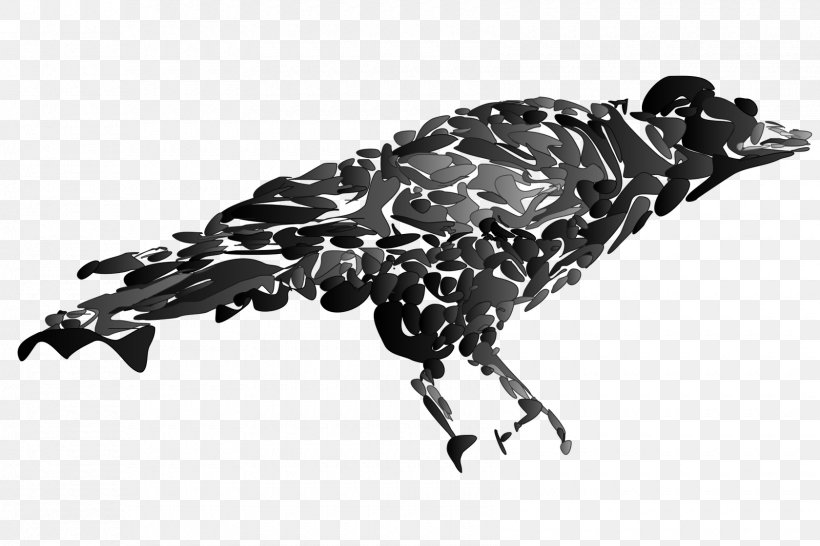 Water Bird Beak White, PNG, 1680x1120px, Bird, Beak, Black And White, Monochrome, Organism Download Free