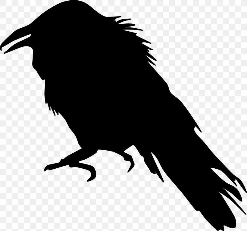 American Crow Common Raven Fauna Clip Art, PNG, 2036x1906px, American Crow, Beak, Bird, Common Raven, Crow Download Free