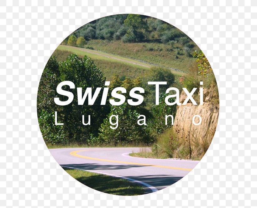 Fly Taxi Service Lugano Taxi A Lugano Taxi Lugano, PNG, 585x666px, Taxi, Grass, Linate Airport, Lugano, Lugano District Download Free