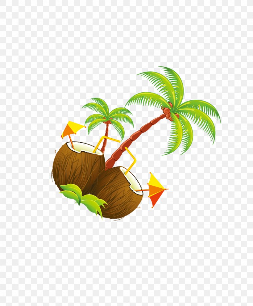 Coconut Tree Illustration, PNG, 1953x2362px, Cartoon, Coconut, Fruit, Green, Illustration Download Free