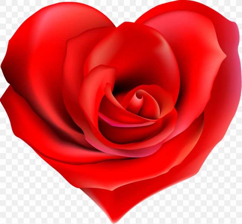 Garden Roses Heart Flower Clip Art, PNG, 1000x929px, Rose, Close Up, Cut Flowers, Floribunda, Flower Download Free