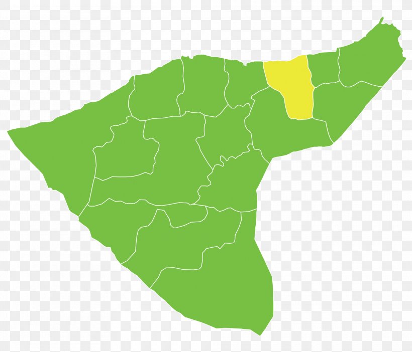 Al-Darbasiyah Subdistrict Ras Al-Ayn Amuda Tell Hamis, PNG, 1920x1646px, Nahiyah, Alhasakah Governorate, Ecoregion, Grass, Green Download Free