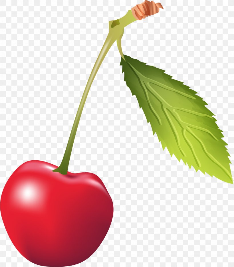 Cherry Red, PNG, 2001x2285px, Cherry, Apple, Cerise, Color, Diet Food Download Free