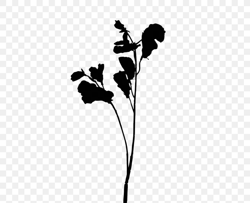 Flowering Plant Plant Stem Leaf Silhouette, PNG, 500x667px, Flower, Blackandwhite, Botany, Branch, Flowering Plant Download Free
