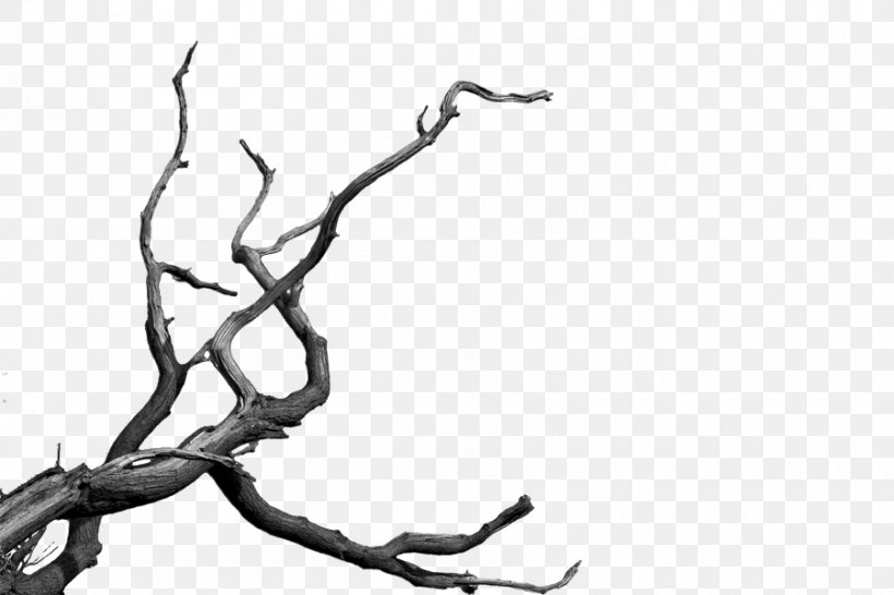 Tree Clip Art, PNG, 900x600px, Tree, Black, Black And White, Branch, Drawing Download Free