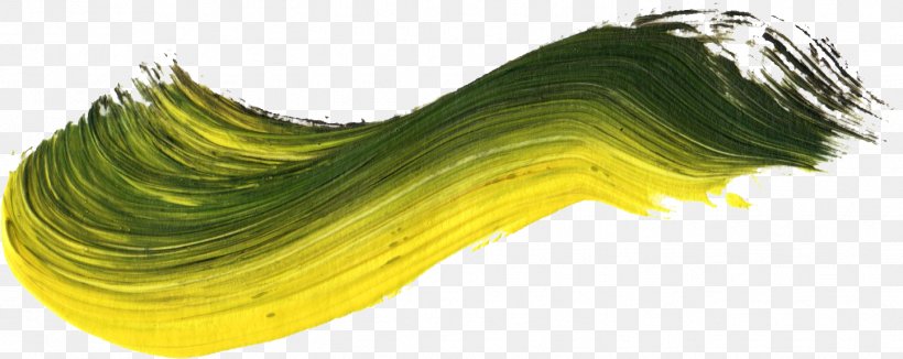 Yellow Paintbrush, PNG, 1446x576px, Yellow, Brush, Com, Green, Paint Download Free