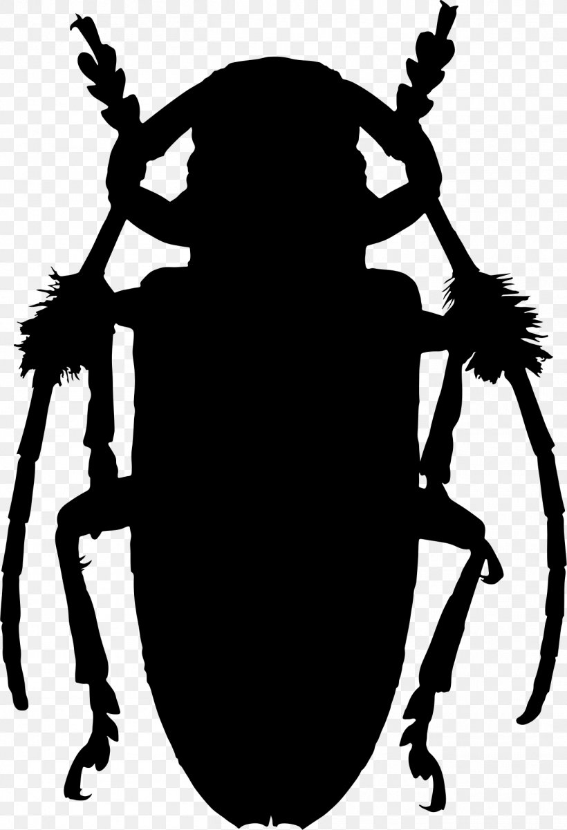 Beetle T-shirt Scarab Ladybird Lamiinae, PNG, 1357x1989px, Beetle, Artwork, Black And White, Child, Drawing Download Free