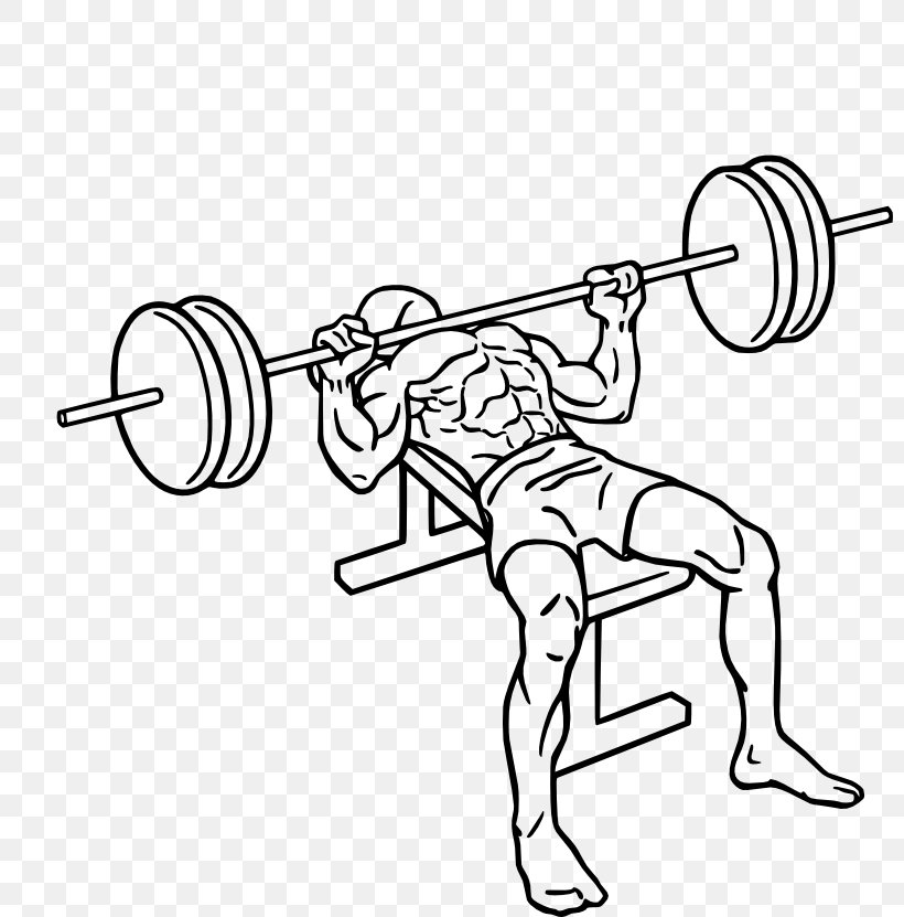 Bench Press Fly Barbell Exercise, PNG, 800x831px, Bench Press, Arm, Art, Artwork, Auto Part Download Free
