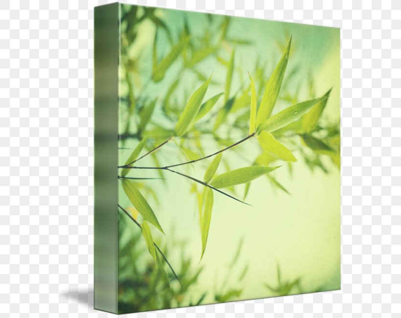 Canvas Print Watercolor Painting Art, PNG, 589x650px, Canvas Print, Art, Branch, Canvas, Fine Art Download Free