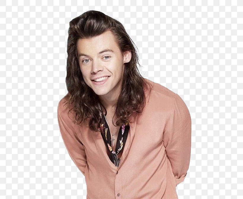Harry Styles One Direction Singer-songwriter, PNG, 480x672px, Harry Styles,  Actor, Brown Hair, Chin, Forehead Download