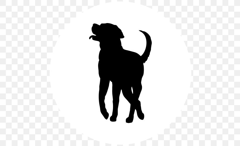 Labrador Retriever Puppy Dog Breed Golden Retriever Pembroke Welsh Corgi, PNG, 500x500px, Labrador Retriever, Black, Black And White, Black Cat, Carnivoran Download Free