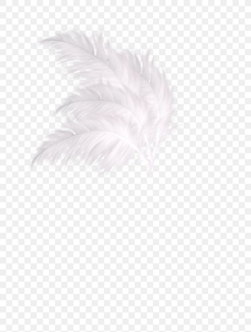White Textile Feather Pattern, PNG, 737x1084px, White, Black, Black And White, Feather, Material Download Free