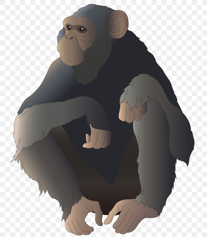 Common Chimpanzee Gorilla Monkey Ape Illustration, PNG, 752x938px, Common Chimpanzee, Animal, Ape, Bear, Carnivoran Download Free