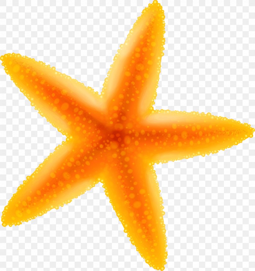 Starfish Cartoon Benthic Zone, PNG, 2000x2123px, Starfish, Animal, Cartoon, Drawing, Echinoderm Download Free