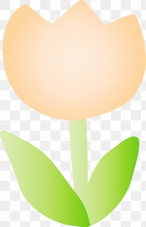 Tulip PNG