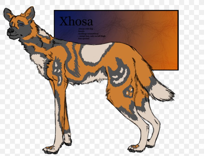 Dog Breed Dingo Red Fox Art, PNG, 900x691px, Dog Breed, Art, Breed, Carnivoran, Cartoon Download Free
