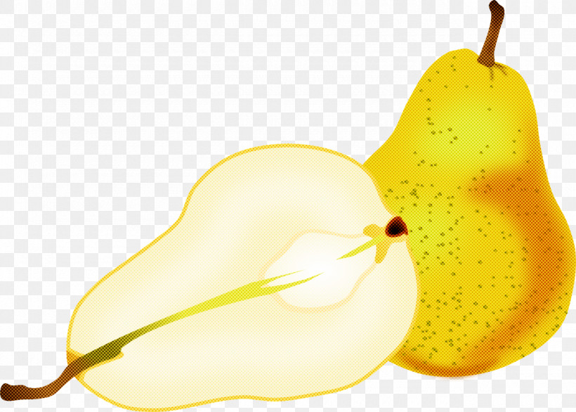 Pear Pear Yellow Plant Tree, PNG, 1280x916px, Pear, Flower, Fruit, Plant, Tree Download Free