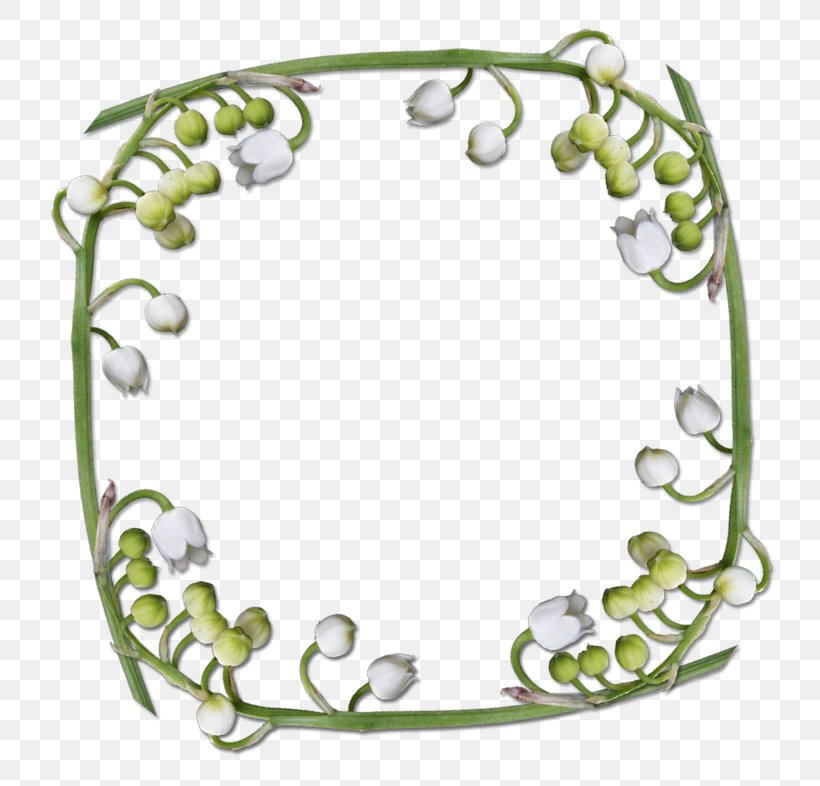 Picture Frames Lily Of The Valley, PNG, 748x786px, Picture Frames, Body Jewelry, Computer Graphics, Film Frame, Flower Download Free