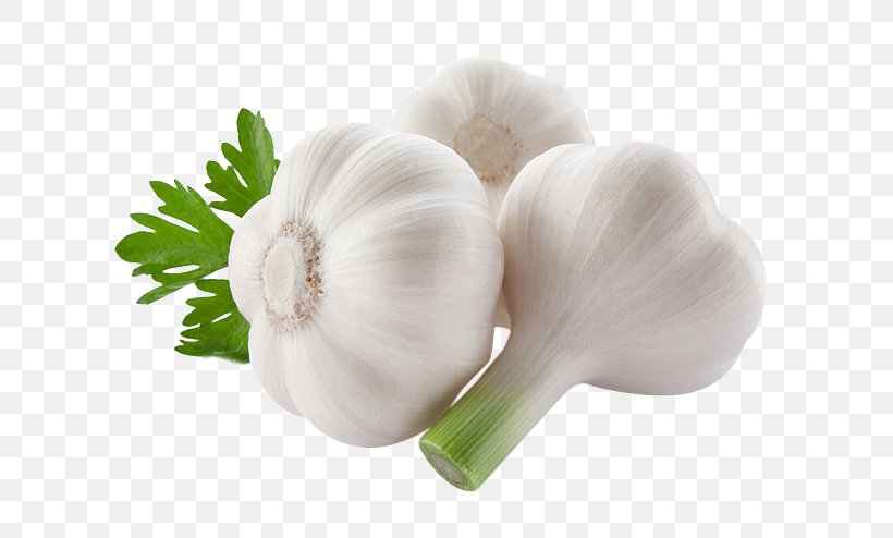 Garlic Food Vegetable Onion, PNG, 658x494px, Garlic, Condiment, Dish, Drink, Food Download Free