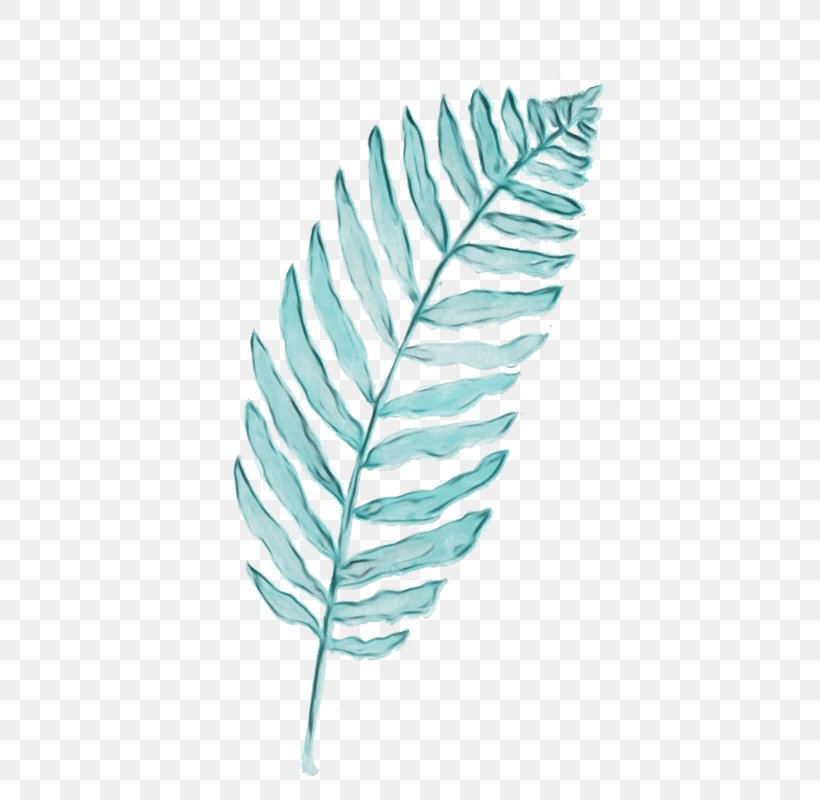 Twig Background, PNG, 525x800px, Leaf, Feather, Fern, Ferns And Horsetails, Flower Download Free