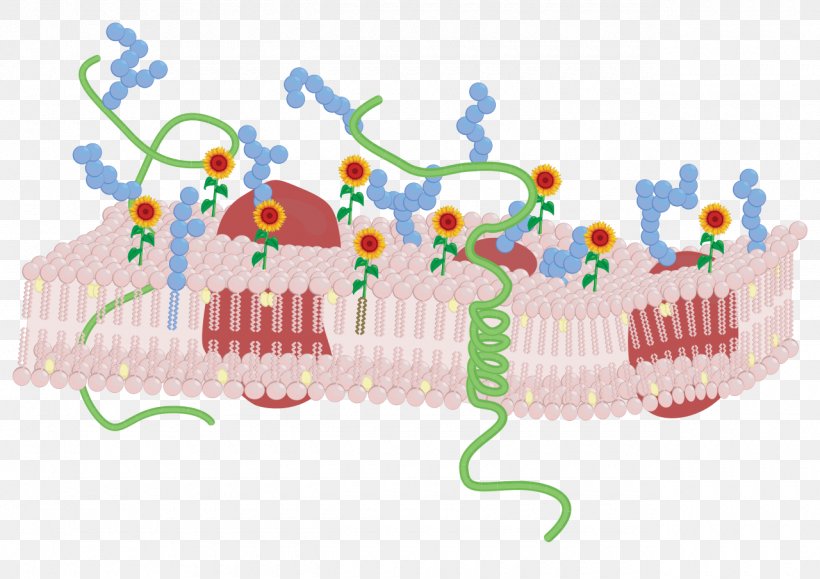 Biological Membrane Cell Membrane Membrane Lipids Red Blood Cell, PNG, 1280x905px, Biological Membrane, Antigen, Area, Art, Biology Download Free