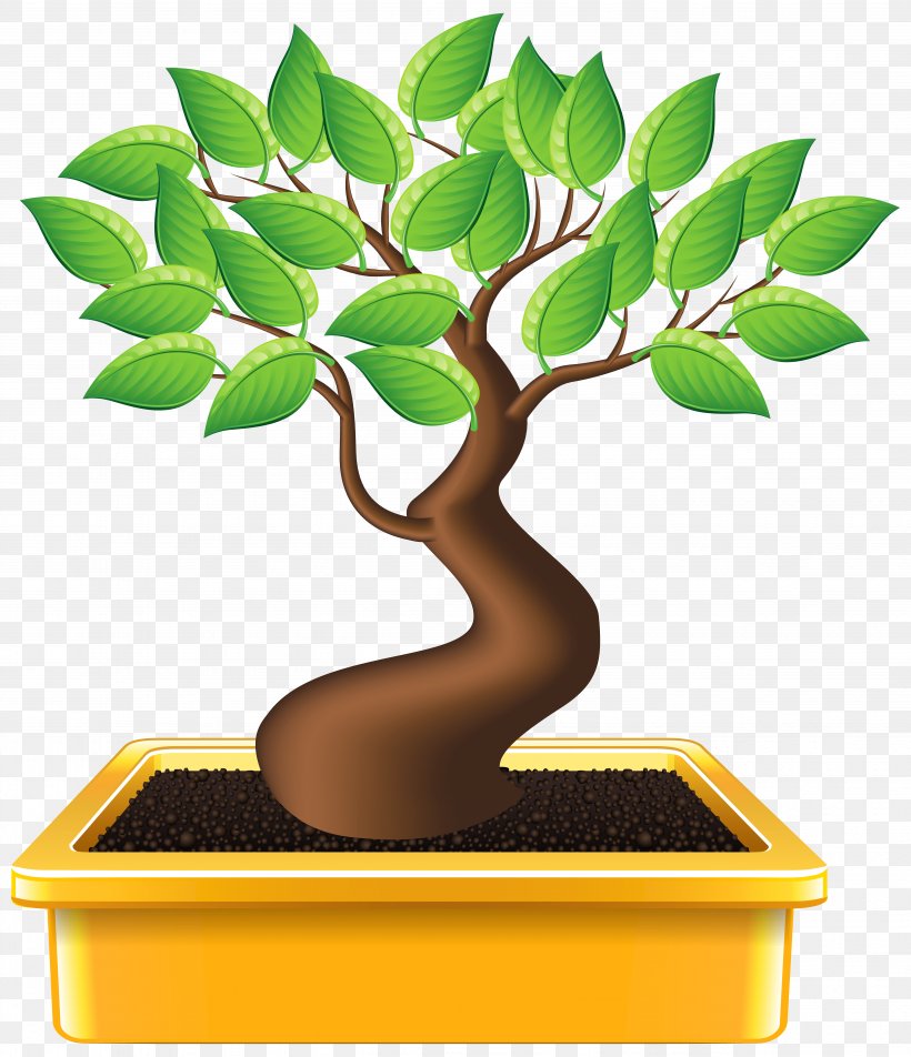 Bonsai Houseplant Tree Clip Art, PNG, 5049x5862px, Bonsai, Bonsai Styles, Drawing, Flowerpot, Garden Download Free