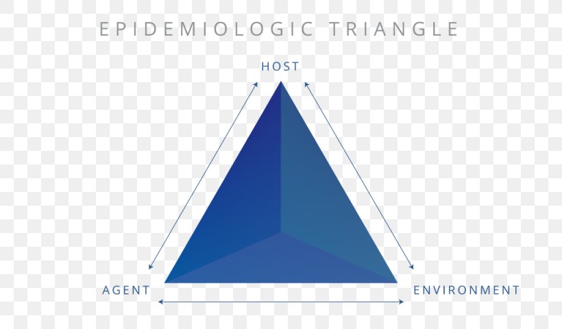 Brand Triangle, PNG, 1025x600px, Brand, Area, Blue, Diagram, Triangle Download Free