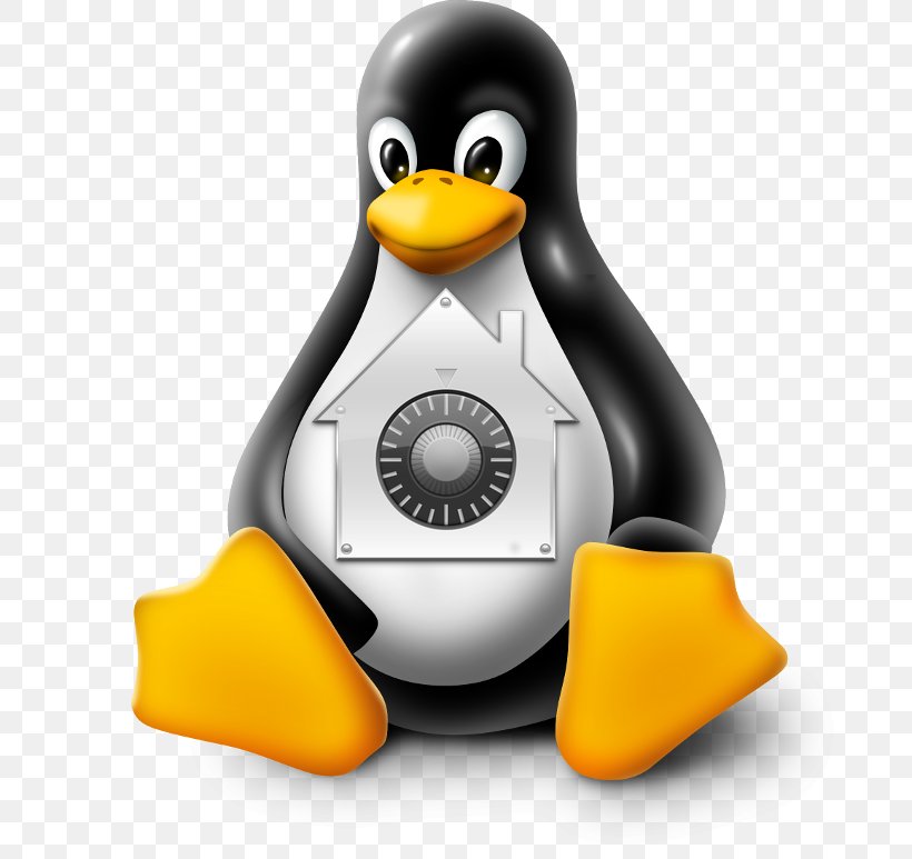 Linux MacOS Operating Systems, PNG, 700x773px, Linux, Beak, Bird, Computer, Flightless Bird Download Free
