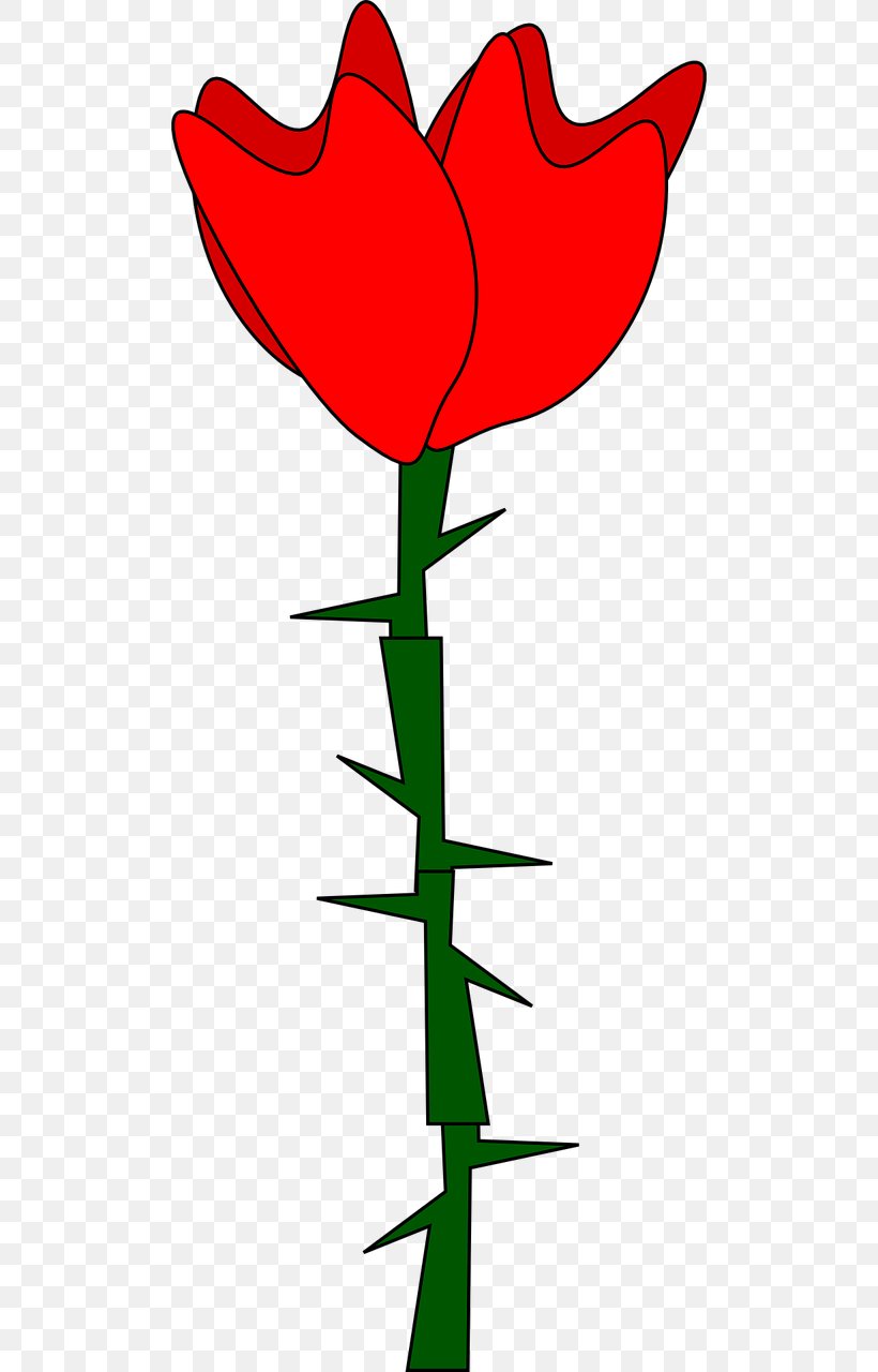 Thorns, Spines, And Prickles Rose Drawing Clip Art, PNG, 640x1280px, Thorns Spines And Prickles, Area, Artwork, Crown Of Thorns, Cut Flowers Download Free