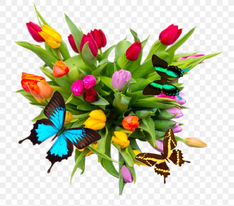 Tulipa Pulchella Flower Bouquet Stock Photography, PNG, 1000x882px, Tulipa Pulchella, Bulb, Butterfly, Cut Flowers, Daffodil Download Free