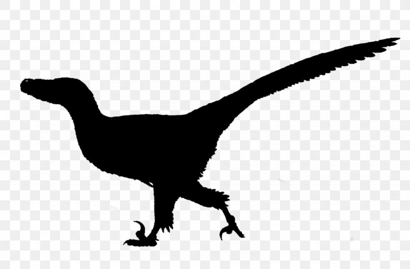 Tyrannosaurus Velociraptor Fauna Silhouette Beak, PNG, 1024x671px, Tyrannosaurus, Beak, Dinosaur, Fauna, Silhouette Download Free