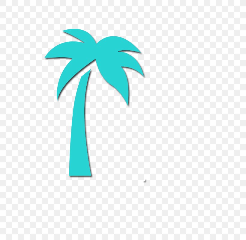 A-1 T-Shirts Miami Lots Clip Art West 40th Street Facebook, PNG, 800x800px, West 40th Street, Arecales, Facebook, Florida, Flowering Plant Download Free