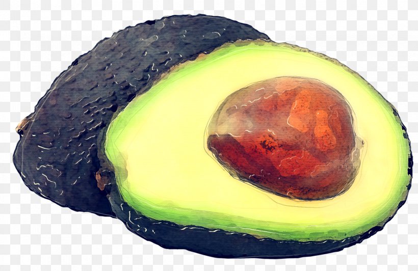 Avocado, PNG, 1535x997px, Avocado Salad, Avocado, Avocado Oil, Avocado Production In Mexico, Berries Download Free