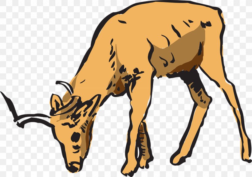 Deer Impala Antelope Clip Art, PNG, 960x679px, Deer, Antelope, Antler, Cattle Like Mammal, Cow Goat Family Download Free