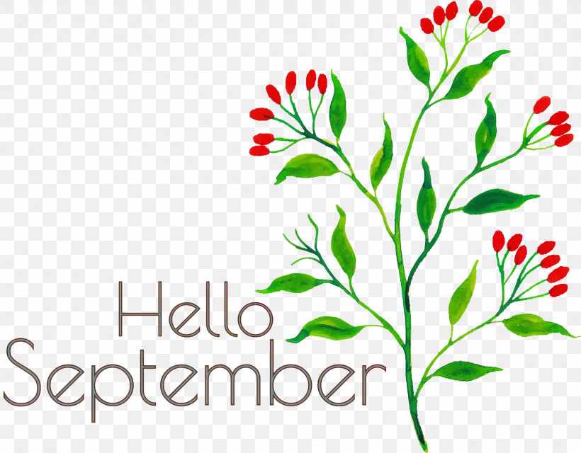 Hello September September, PNG, 3000x2342px, Hello September, Autumn, Branch, Floral Design, Leaf Download Free