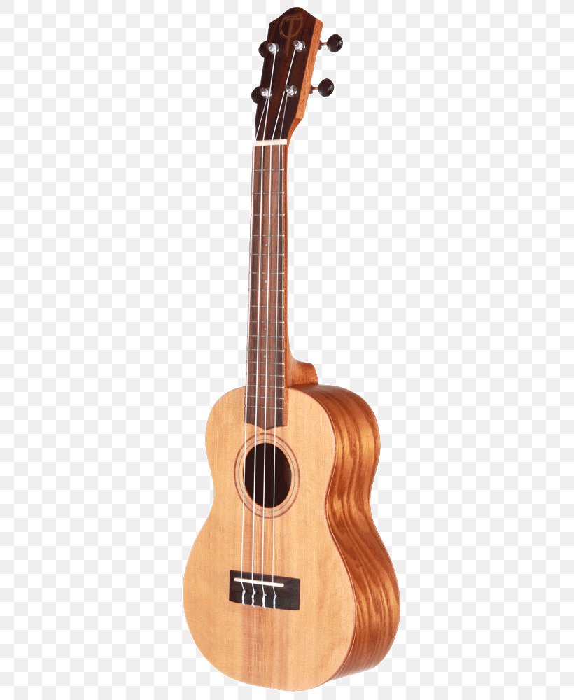 Bass Guitar Ukulele Acoustic Guitar Classical Guitar, PNG, 348x1000px, Watercolor, Cartoon, Flower, Frame, Heart Download Free