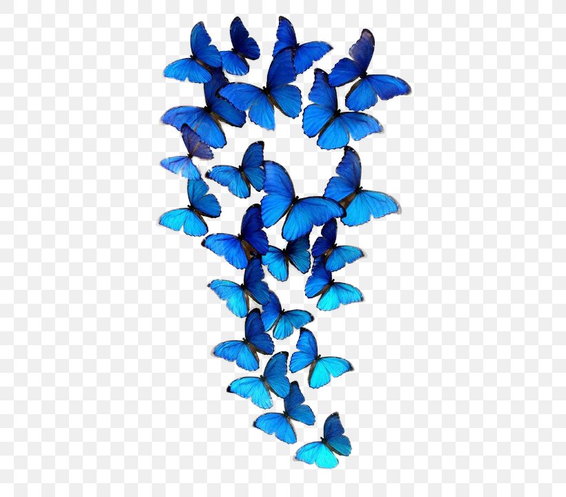 Butterfly IPhone 6S, PNG, 427x720px, Butterfly, Blue, Iphone 6s, Leaf, Petal Download Free