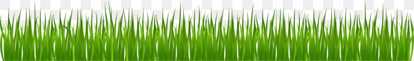 Drawing Olympics Opening Ceremony Clip Art, PNG, 2000x300px, Drawing, Brush, Grass, Grass Family, Green Download Free