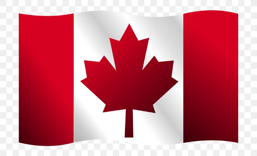 Flag Of Canada Vector Graphics Clip Art, PNG, 700x500px, Canada, Carmine, Drawing, Flag, Flag Of Canada Download Free