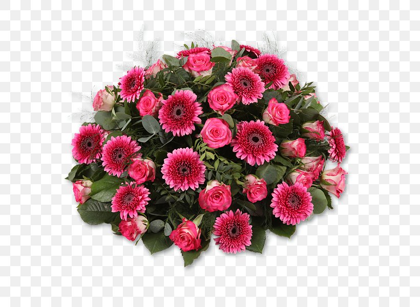 Floral Design Art & Flowers Transvaal Daisy Bloemen En Planten Teeuwen, PNG, 600x600px, Watercolor, Cartoon, Flower, Frame, Heart Download Free
