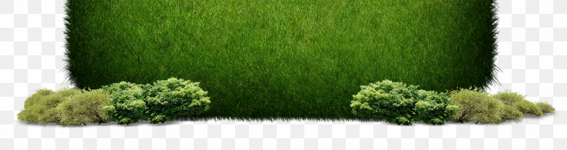 Grass Green, PNG, 1644x436px, Grass, Color, Designer, Floral Design, Flowerpot Download Free