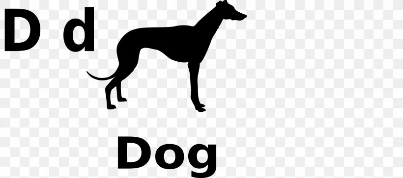 Italian Greyhound Whippet Lurcher Dalmatian Dog, PNG, 2400x1063px, Greyhound, Animal, Animal Sports, Black And White, Carnivoran Download Free