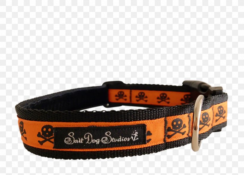 Dog Collar Cat Leash, PNG, 1024x732px, Dog, Cat, Collar, Craft, Dog Collar Download Free