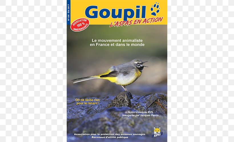 Flora Beak Fauna Bird Advertising, PNG, 500x500px, Flora, Advertising, Beak, Bird, Bird Supply Download Free