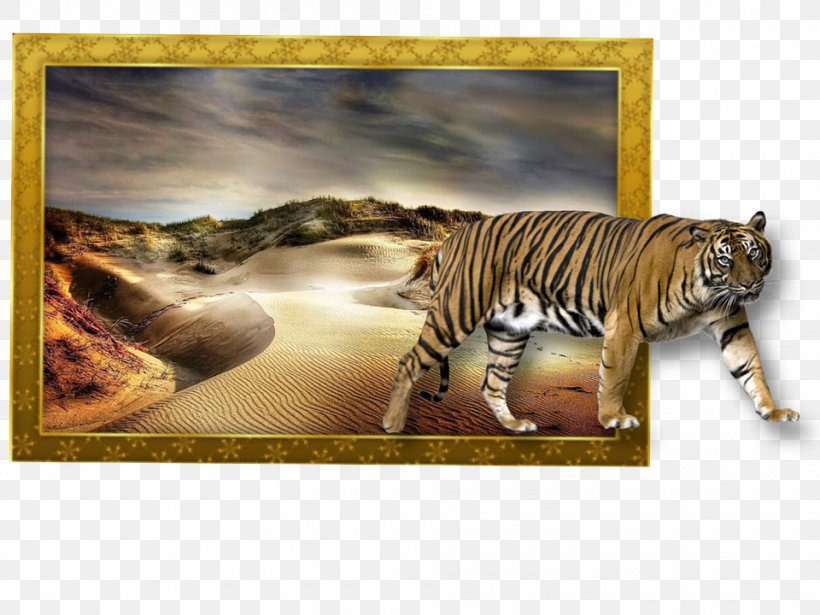Image Editing Meditation Planning Is Bringing The Future Into The Present So That You Can Do Something About It Now. .de, PNG, 960x720px, Editing, Big Cats, Carnivoran, Cat Like Mammal, Fauna Download Free