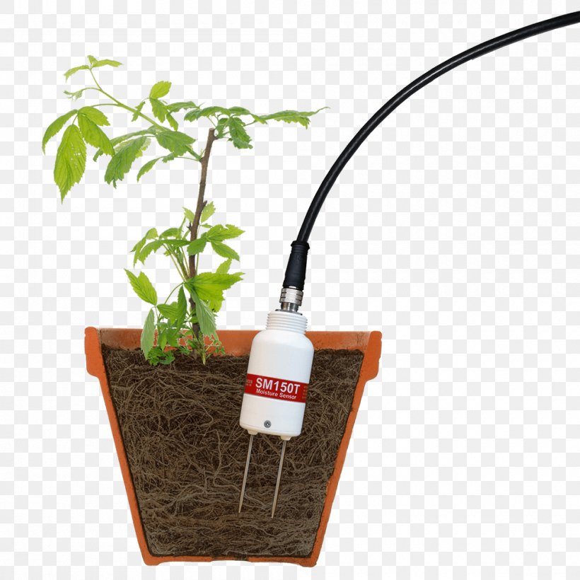 Soil Moisture Sensor Agriculture Water Content, PNG, 1000x1000px, Soil Moisture Sensor, Agriculture, Crop, Eagriculture, Flowerpot Download Free