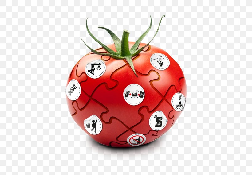 Tomato Christmas Ornament Strawberry, PNG, 570x570px, Tomato, Christmas, Christmas Ornament, Food, Fruit Download Free