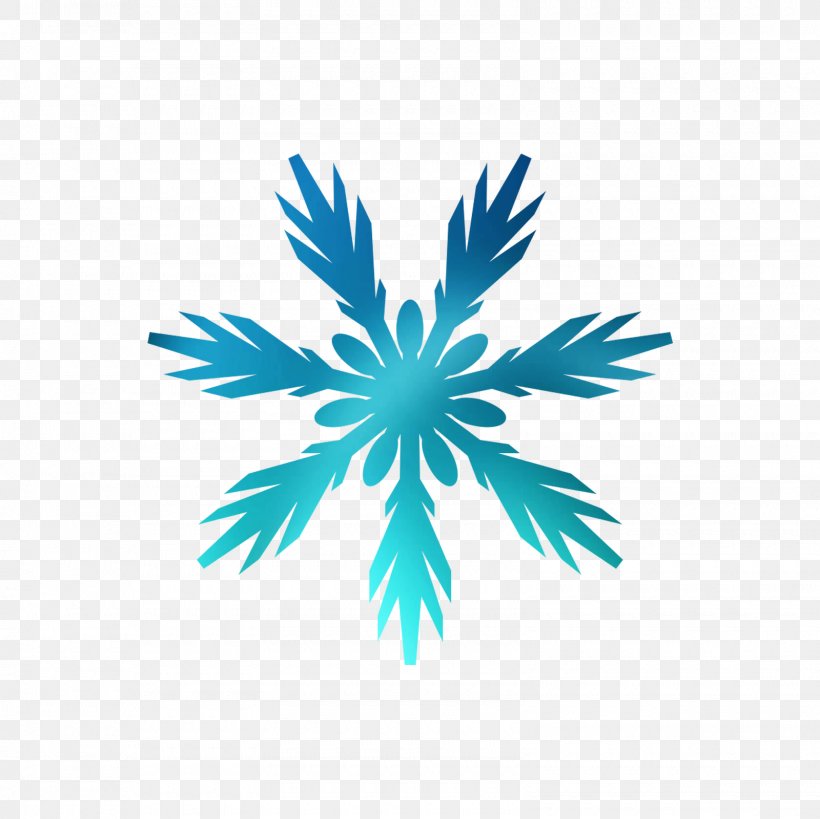 Snowflake Vector Graphics Royalty-free Image Illustration, PNG, 1600x1600px, Snowflake, Christmas Day, Logo, Plant, Royaltyfree Download Free