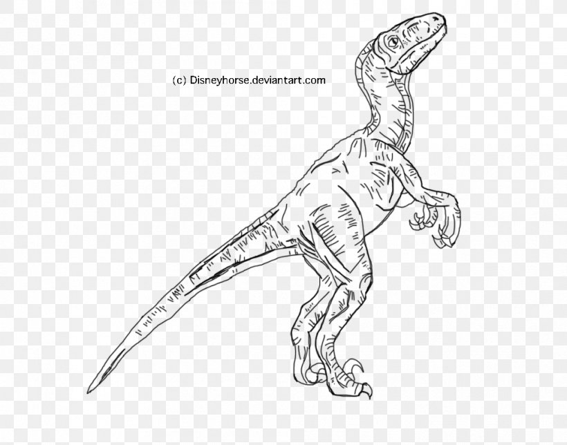 Velociraptor Jurassic World Evolution Tyrannosaurus Jurassic Park Line Art, PNG, 1008x792px, Velociraptor, Arm, Artwork, Black And White, Coloring Book Download Free