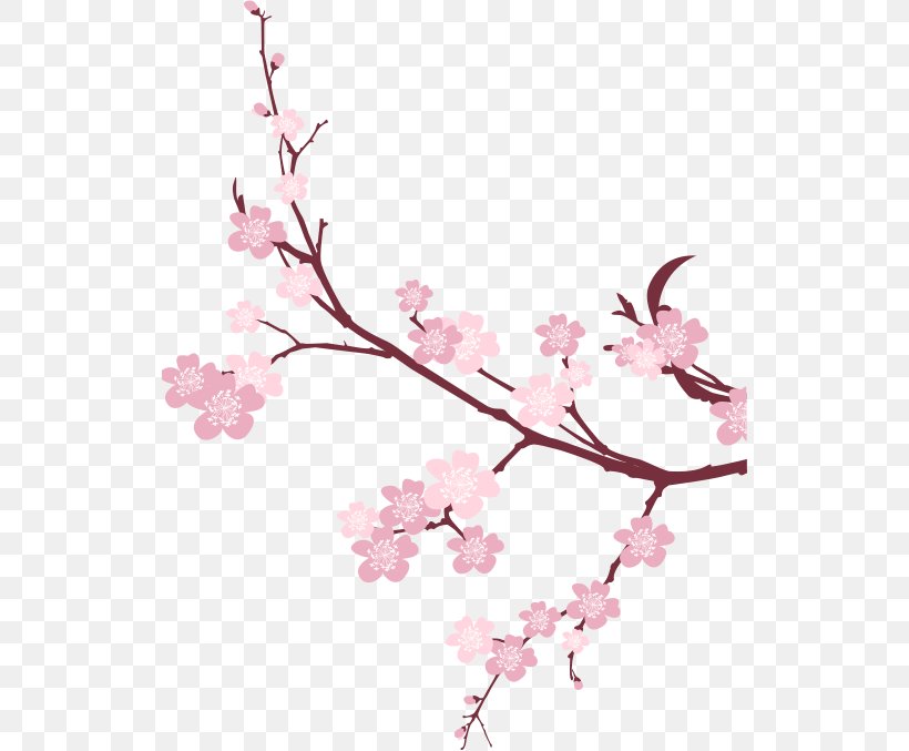 Cherry Blossom Branch Tree, PNG, 528x677px, Cherry Blossom, Blossom, Branch, Cherry, Floral Design Download Free